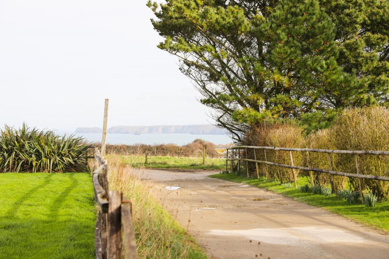 Northlight, Port Isaac Bay Holidays Exterior photo